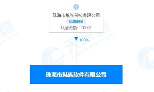 珠海市魅族軟件注銷 解讀其在計(jì)算機(jī)網(wǎng)絡(luò)及軟件技術(shù)開發(fā)領(lǐng)域的轉(zhuǎn)型與影響